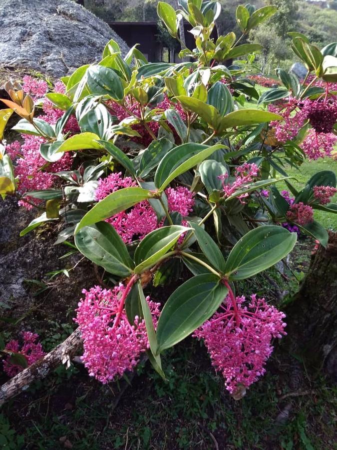 Отель Spring Garden Kundasang Экстерьер фото